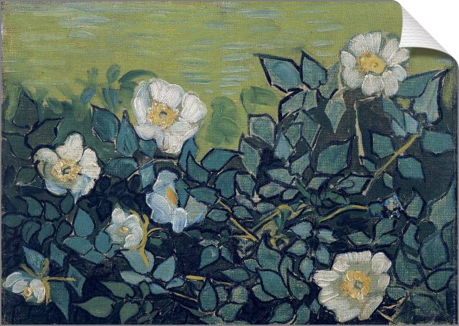 Купить и печать на заказ Картины на холсте Дикие розы