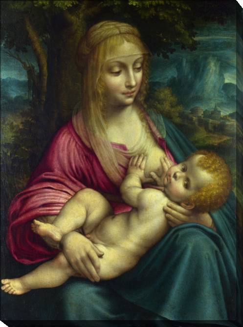 Paintings on canvas Leonardo da Vinci Madonna and Child