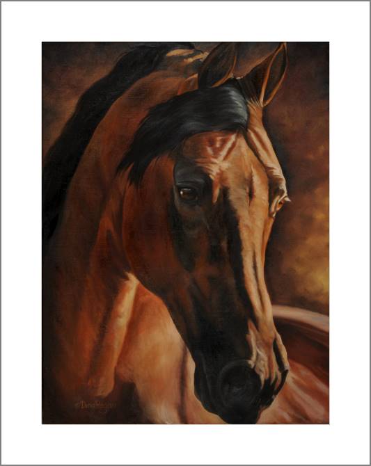 Купить и печать на заказ Картины, фото с паспарту Лошадь