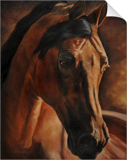 Картины на холсте Horse