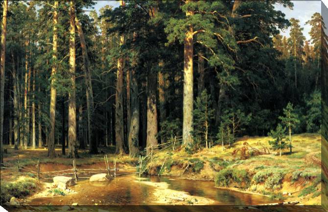 Paintings on canvas Ivan Shishkin mast-tree grove