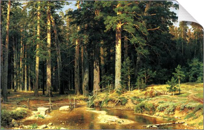 Купить и печать на заказ Картины на холсте Корабельная роща