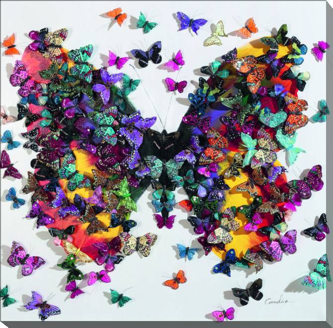 Paintings on canvas Voluminous butterfly