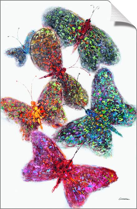 Картины на холсте Butterfly