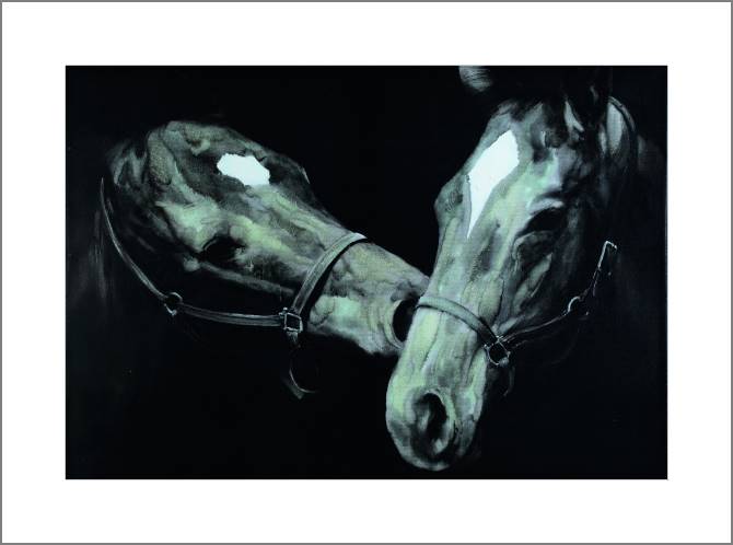 Купить и печать на заказ Картины, фото с паспарту Две Лошади