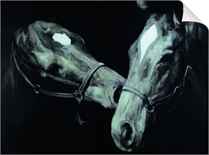 Картины на холсте Two Horses