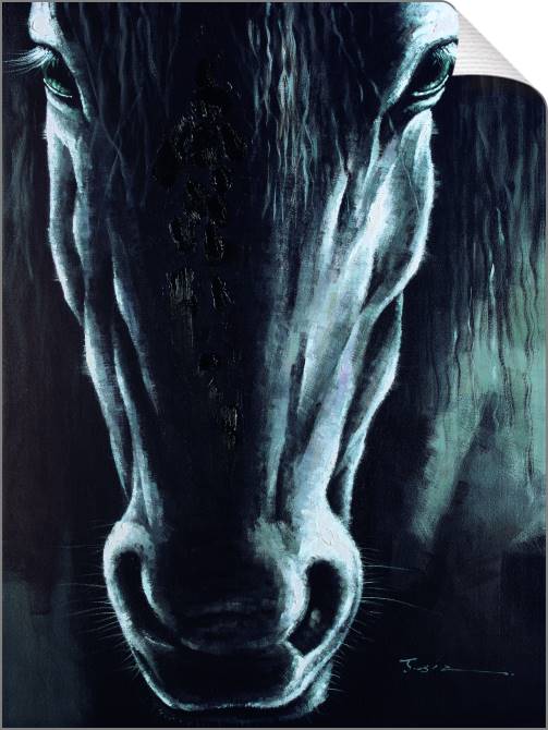 Картины на холсте Horse