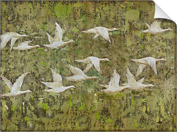 Картины на холсте A flock of ducks