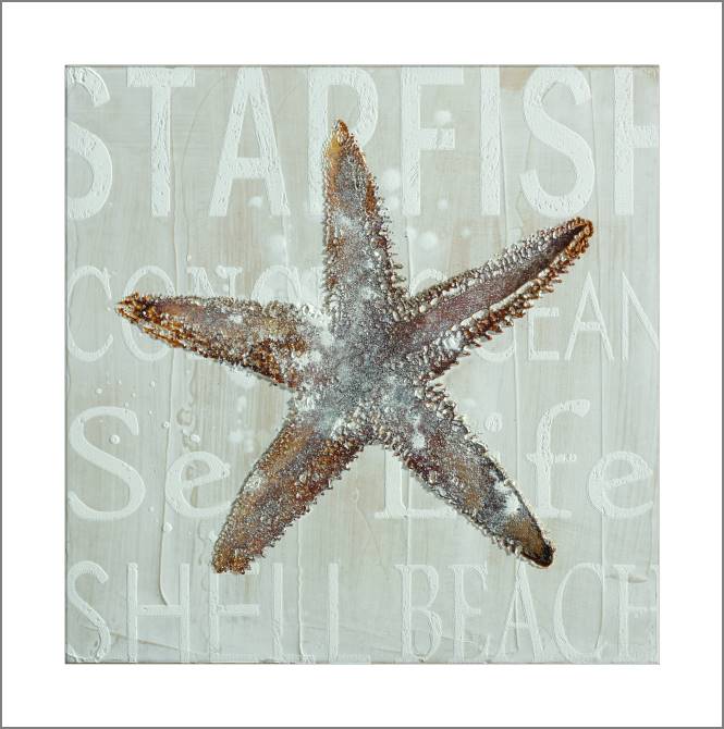 Картины, фото с паспарту Starfish