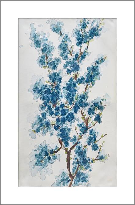 Купить и печать на заказ Картины, фото с паспарту Голубая сакура