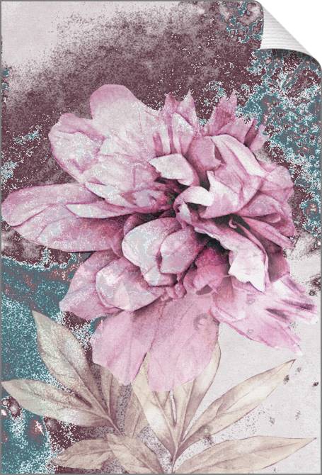 Картины на холсте Pink peony