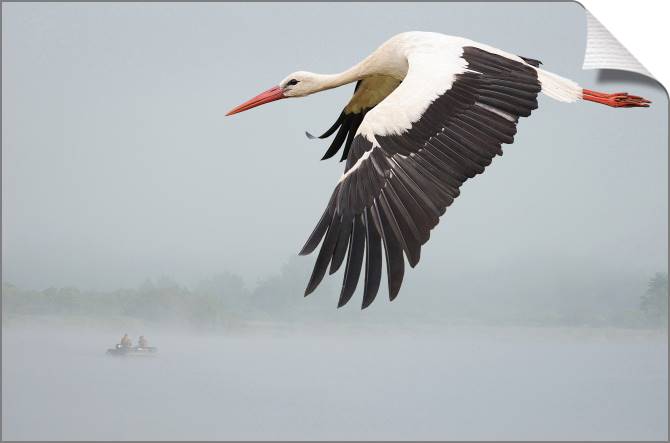 Купить и печать на заказ Картины на холсте Аист над рекой