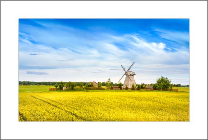 Купить и печать на заказ Картины, фото с паспарту Мельница в поле