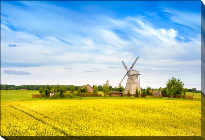 Paintings on canvas Windmill in the field