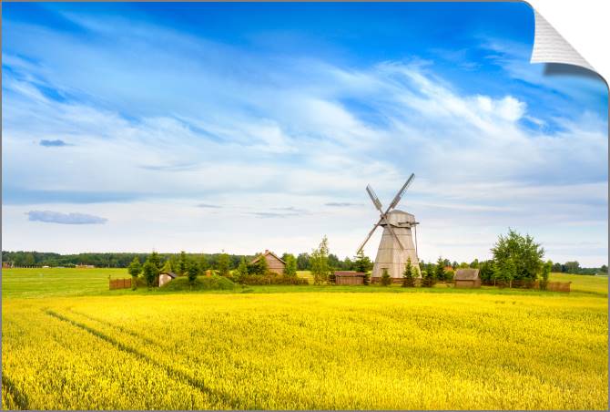 Купить и печать на заказ Картины на холсте Мельница в поле