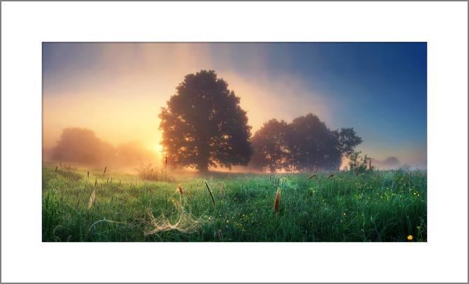 Купить и печать на заказ Картины, фото с паспарту Природа Беларуси утром