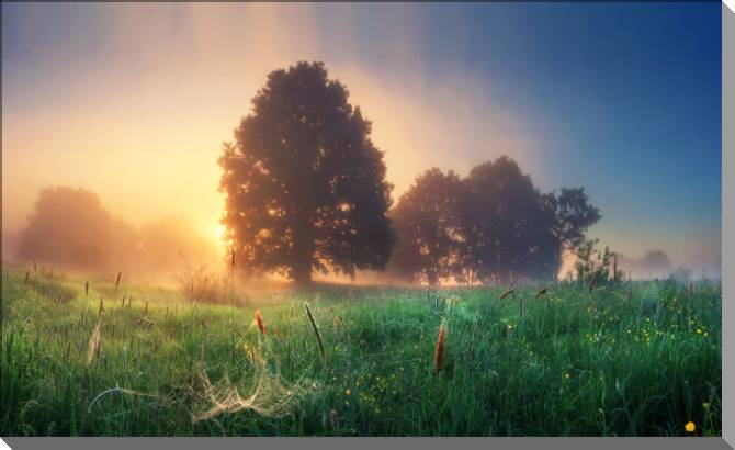 Купить и печать на заказ Картины на пластике, пеноркартоне Природа Беларуси утром