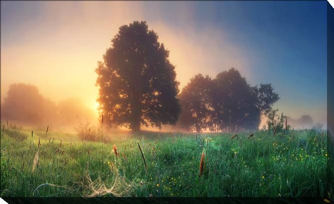 Paintings on canvas The nature of Belarus in the morning