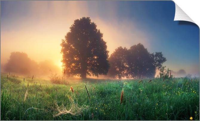 Купить и печать на заказ Картины на холсте Природа Беларуси утром