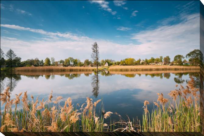 Paintings on canvas Belarusian village near the lake