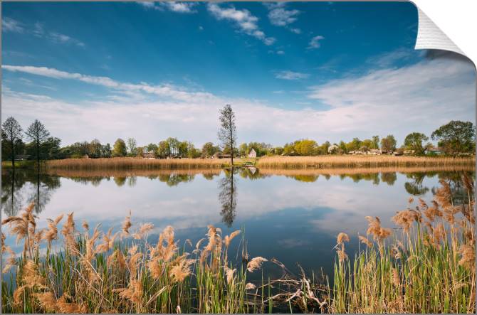 Купить и печать на заказ Картины на холсте Белорусская деревня возле озера