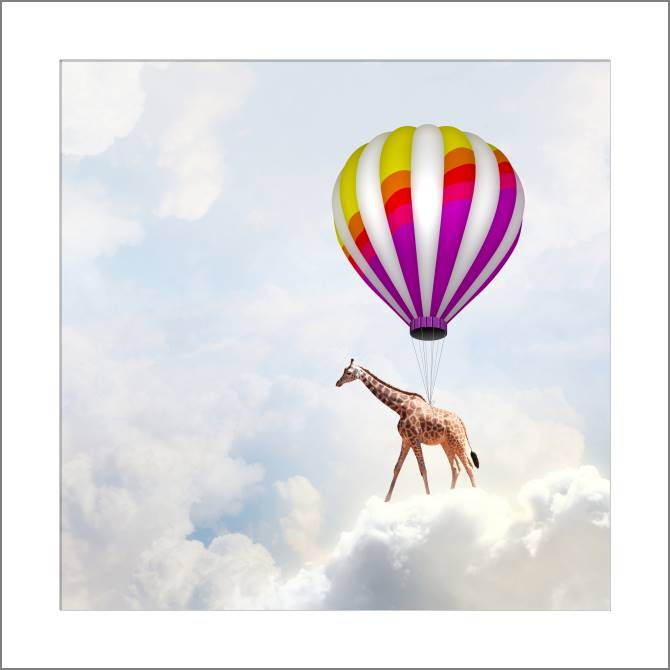 Купить и печать на заказ Картины, фото с паспарту Летающий жираф