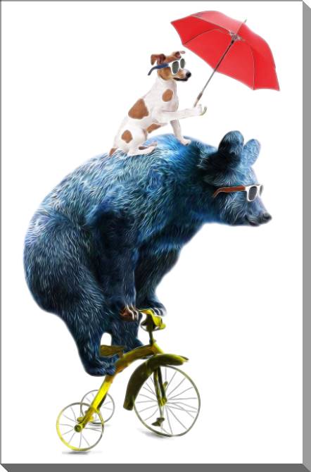 Купить и печать на заказ Картины на пластике, пеноркартоне Медведь на велосипеде