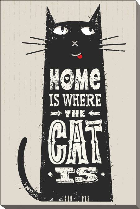 Paintings on canvas Home is where the cat is