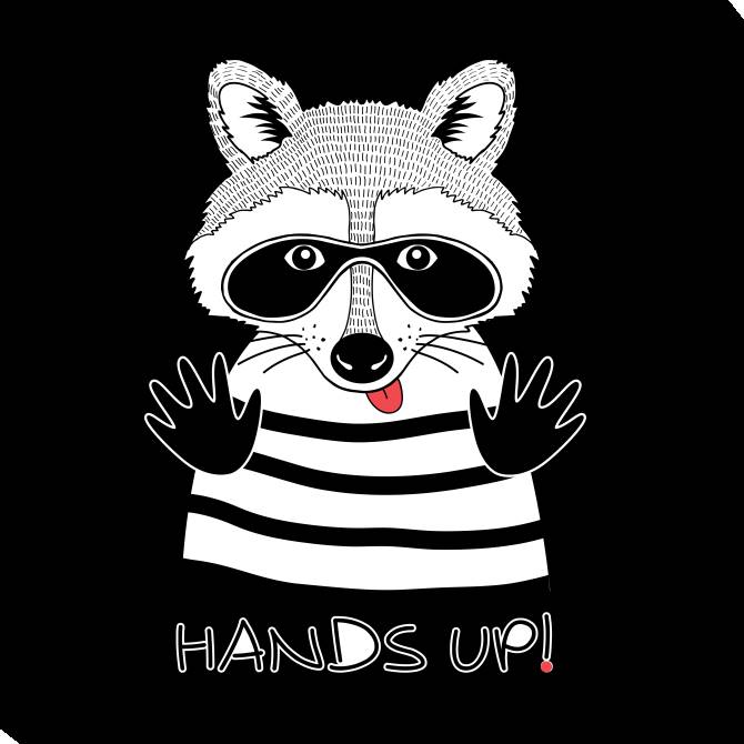 Картины на холсте Funny raccoon