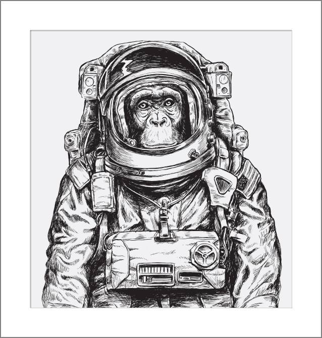 Купить и печать на заказ Картины, фото с паспарту Шимпанзе-космонавт