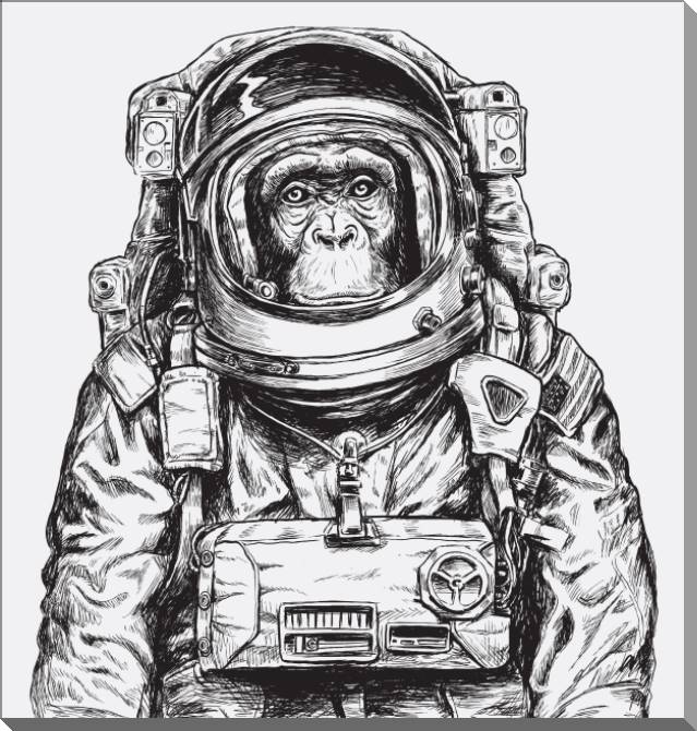 Купить и печать на заказ Картины на пластике, пеноркартоне Шимпанзе-космонавт