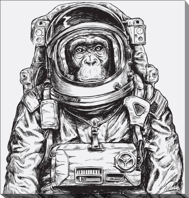 Paintings on canvas Chimpanzee astronaut