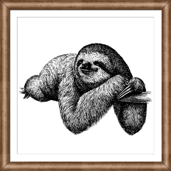 Framed and baguette paintings Sloth