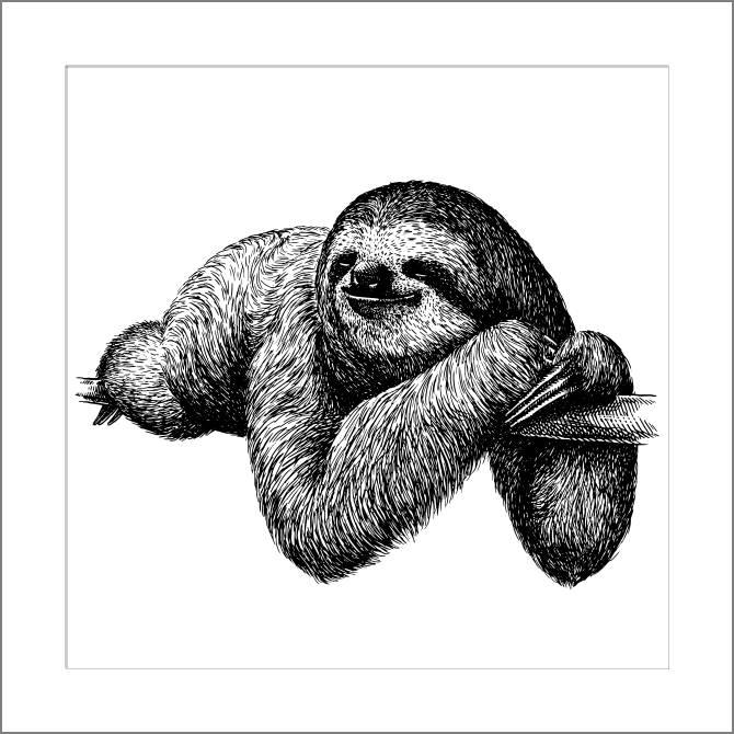 Купить и печать на заказ Картины, фото с паспарту Ленивец