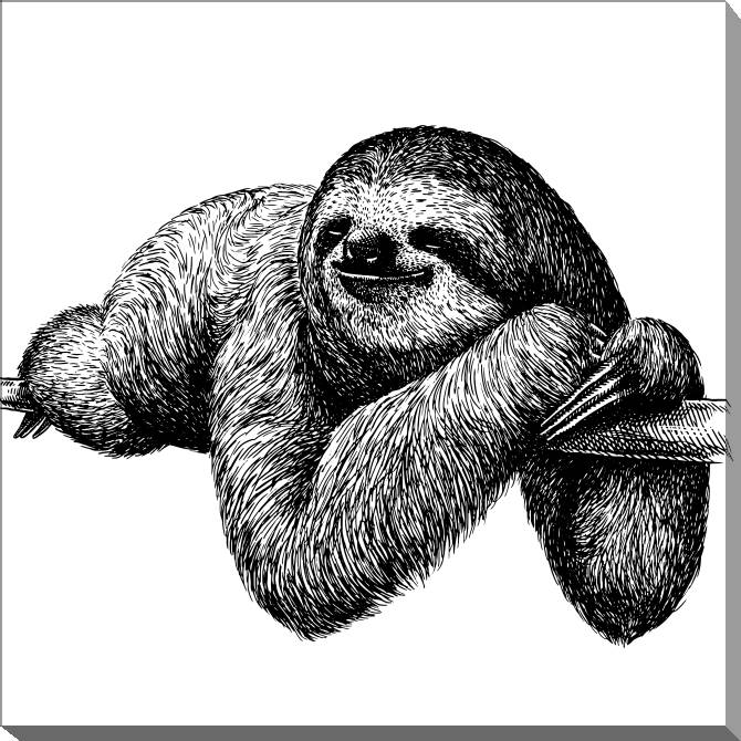 Paintings on canvas Sloth