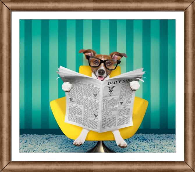 Купить и печать на заказ Репродукции картин Забавная собака в очках