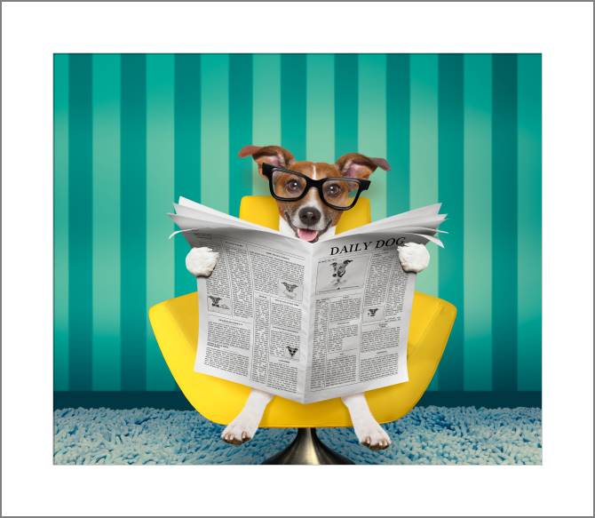 Купить и печать на заказ Картины, фото с паспарту Забавная собака в очках