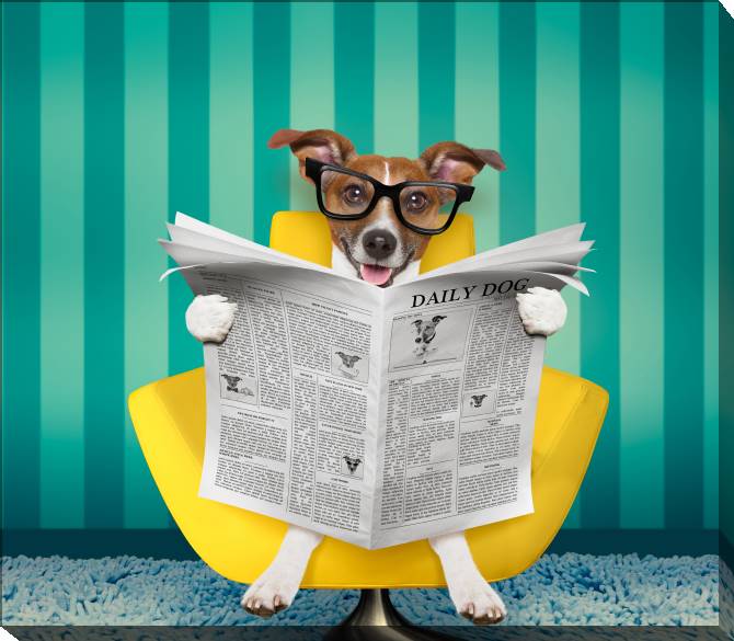 Paintings on canvas Funny dog with glasses