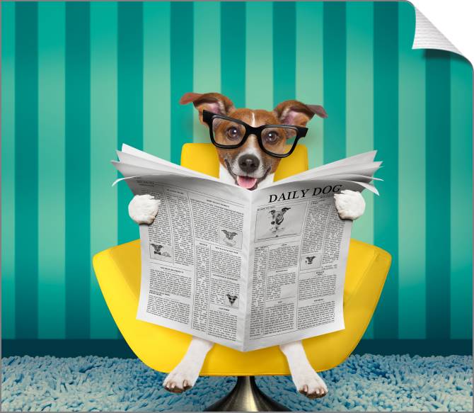 Купить и печать на заказ Картины на холсте Забавная собака в очках