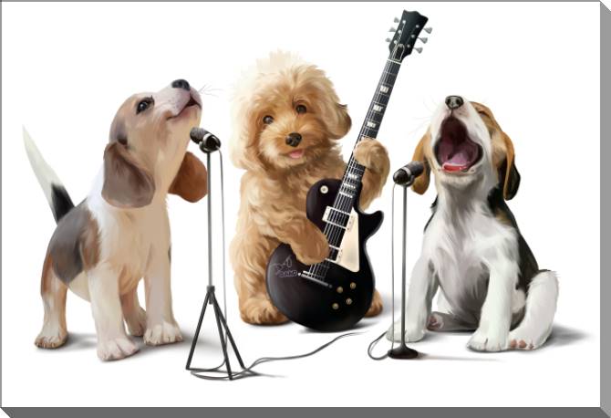 Купить и печать на заказ Картины на пластике, пеноркартоне Собачья рок-группа