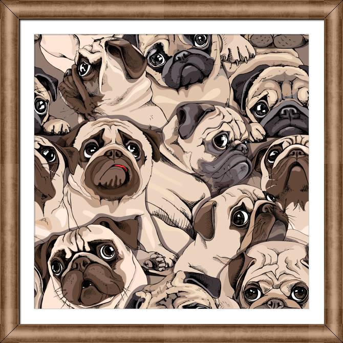Framed and baguette paintings Pugs