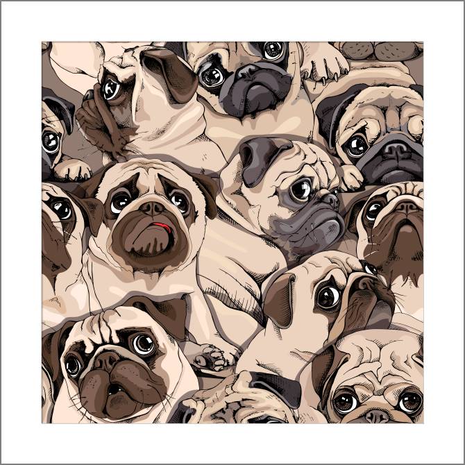 Купить и печать на заказ Картины, фото с паспарту Мопсы