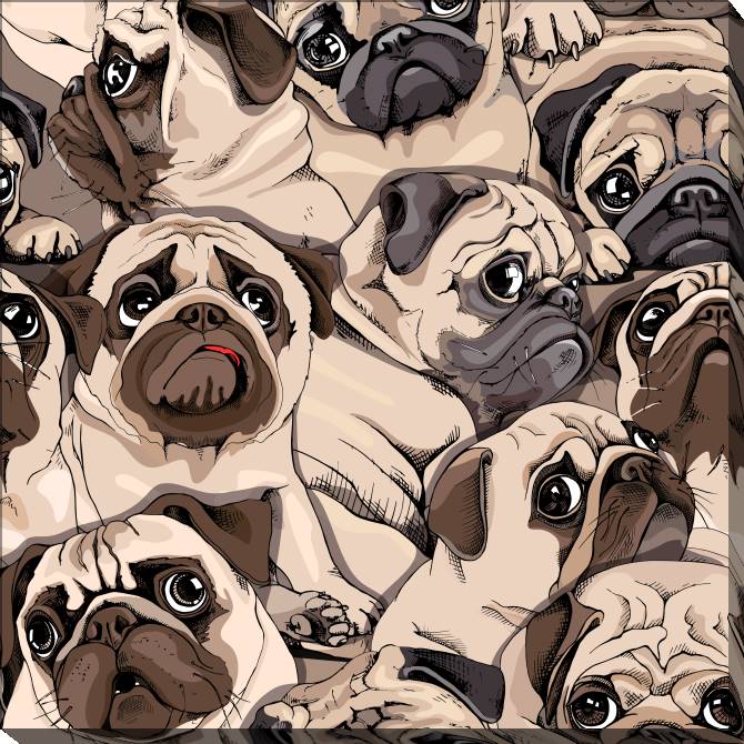 Paintings on canvas Pugs