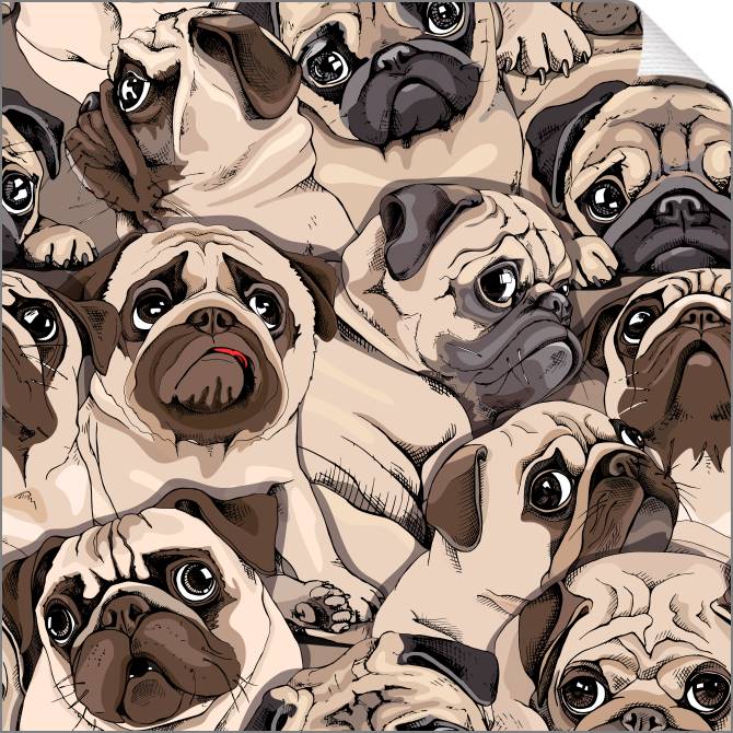 Купить и печать на заказ Картины на холсте Мопсы