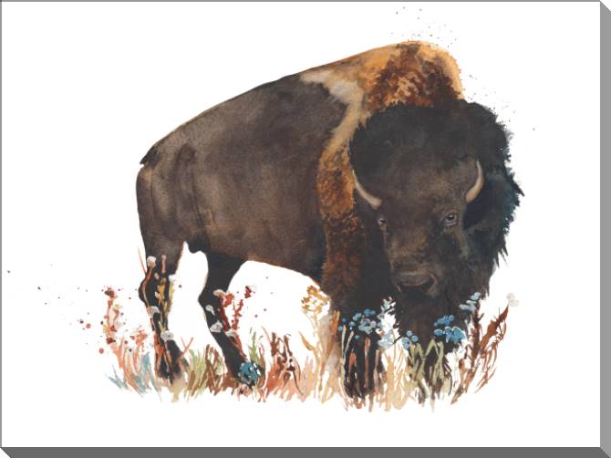 Купить и печать на заказ Картины на пластике, пеноркартоне Зубр акварель