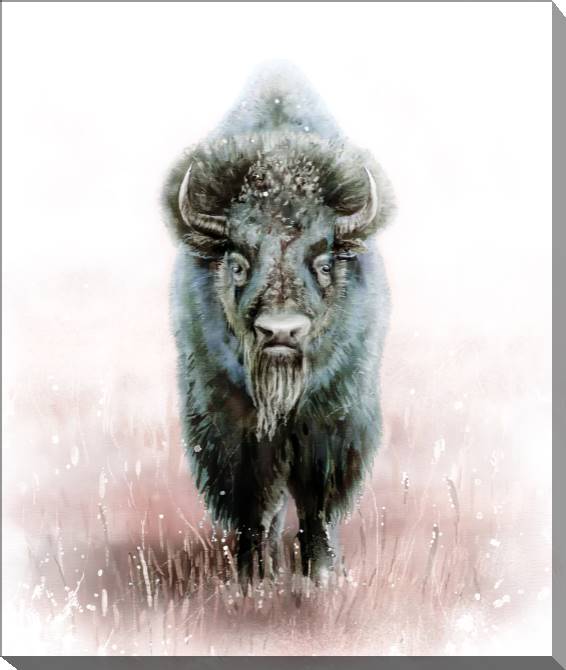 Paintings on canvas Bison digital illustration