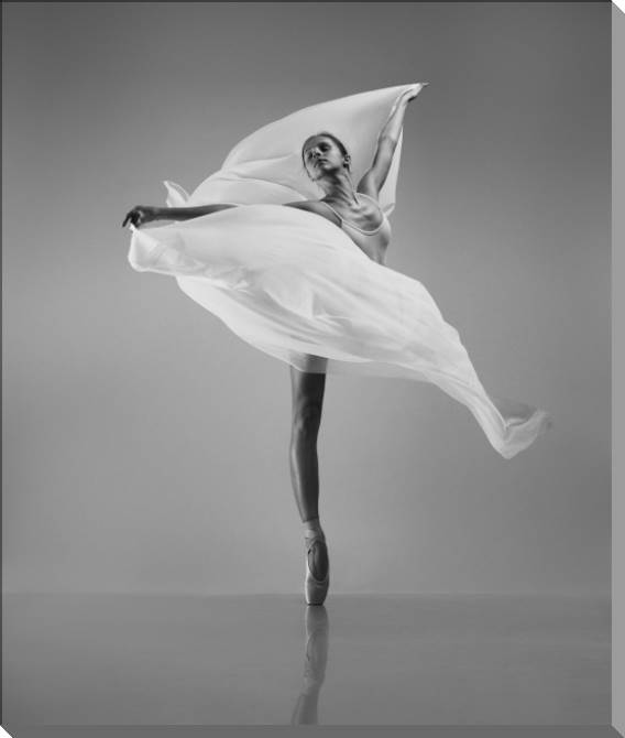 Купить и печать на заказ Картины на пластике, пеноркартоне Балерина с белой тканью