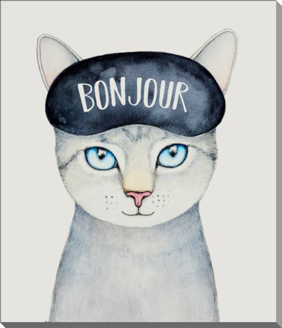 Paintings on plastic, foam cardboard Kitty mask