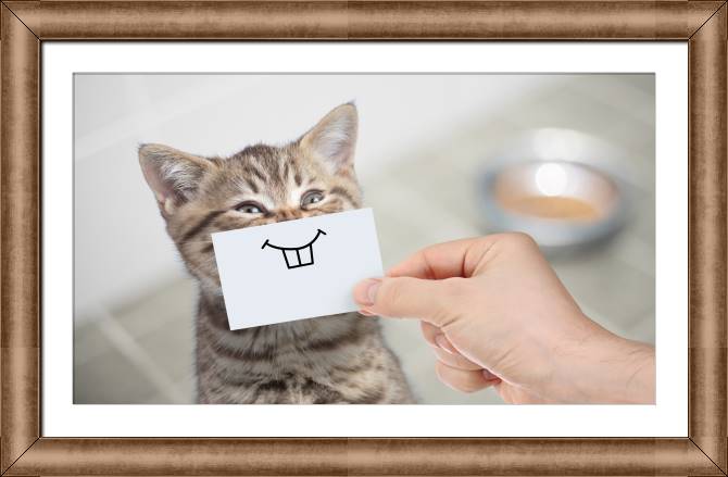Framed and baguette paintings Funny cat with a smile