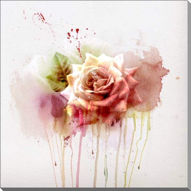 Картины на пластике, пеноркартоне Roses watercolor
